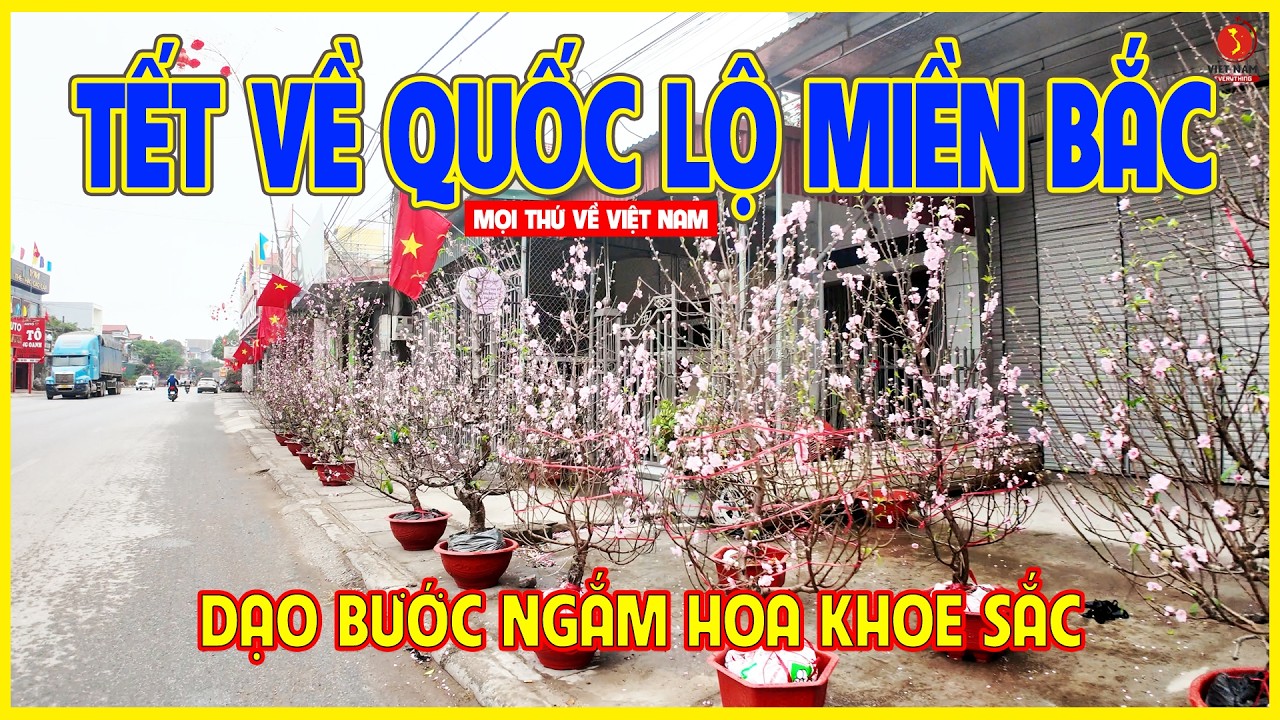 QUỐC LỘ 10 | NGẮM KHÔNG KHÍ TẾT Ở QUỐC LỘ MIỀN BẮC | Thái Bình - Hưng Yên