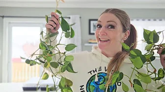 Let's Make More Plants! | Spring Clean, Prune & Propagate With Me.