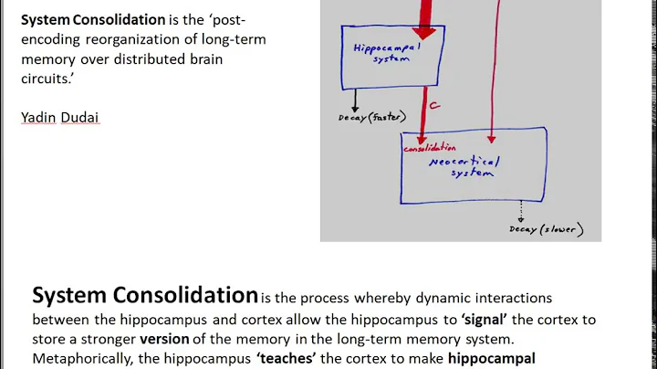 Memory part 2 System consolidation LS