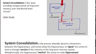 Memory part 2 System consolidation LS