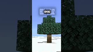 Minecraft Ama Kara Dokunmak Yasak❌ #shorts #minecraft