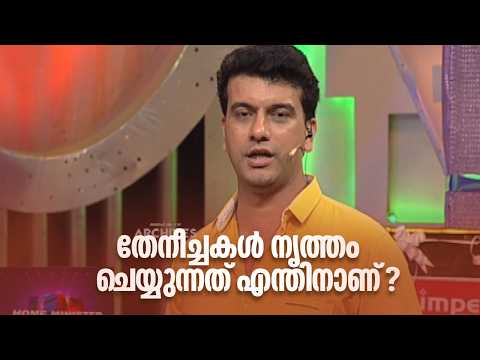 തേനീച്ചകൾ നൃത്തം ചെയ്യുന്നത് എന്തിനാണ്? | Home Minister |