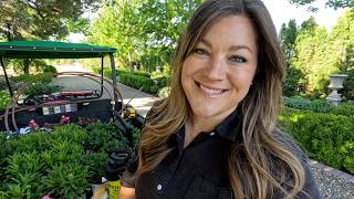 Planting 3 Varieties of Daisy, a Few Containers & Spraying for Aphids! 🌼🪴💦 // Garden Answer