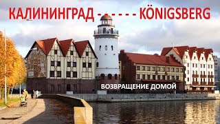 Калининград станет Königsberg. Отсюда может начаться война. Прогноз на Таро