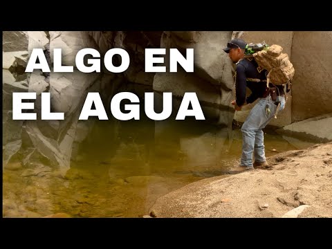 Vídeo: 9 Aventuras Al Aire Libre Para Visitar En Leavenworth, WA - Matador Network