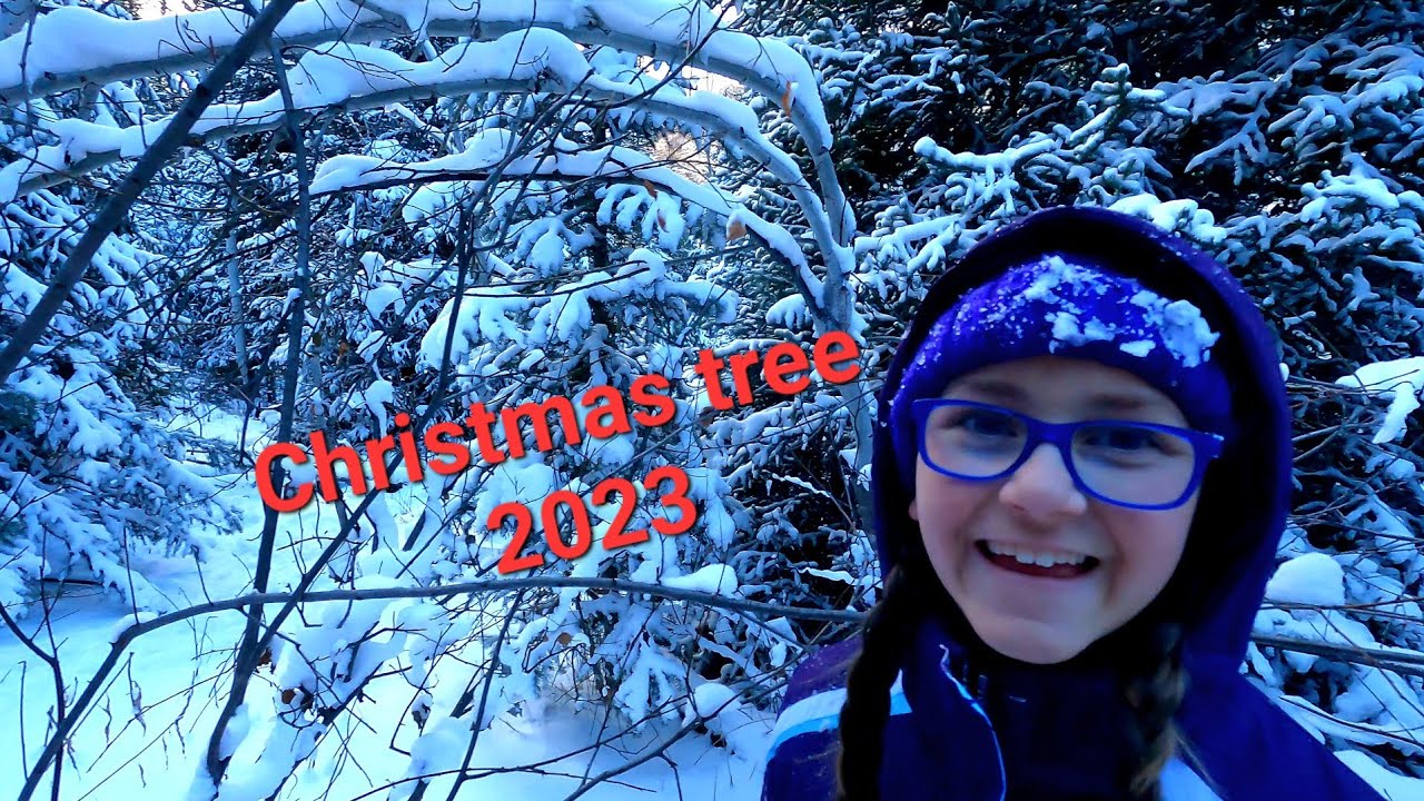 christmas-tree-2023-youtube