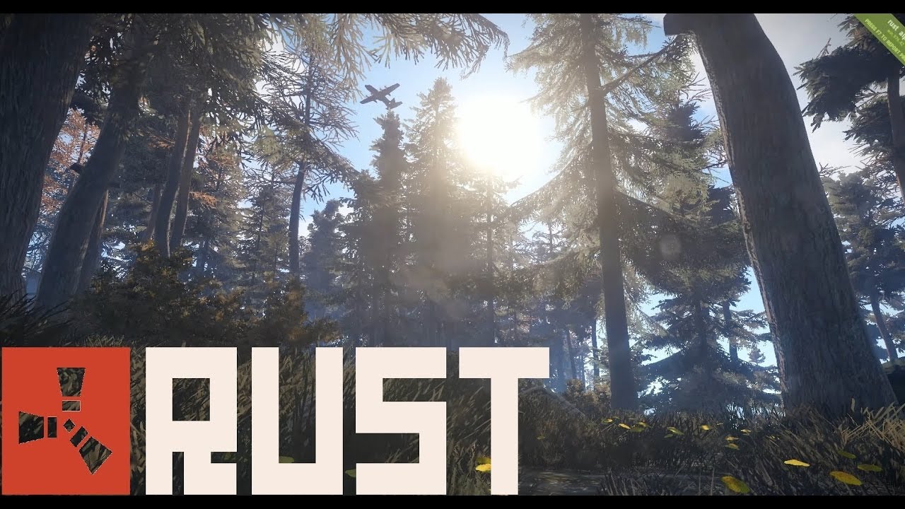 Rust go run фото 24