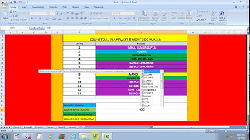 EXCEL COUNT IF WITH WILD CARD IN ENGLISH | example  Wild card character in excel in english.