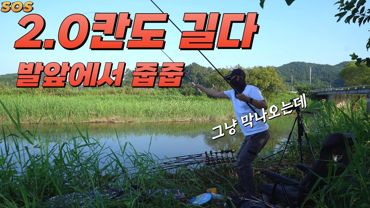 발앞에서 쏟아질줄이야// 그만물어 미친X들아#붕어낚시#big fishing