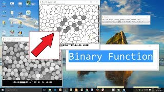 ImageJ Analysis Part 2 : area measurement using BINARY function and wand tool