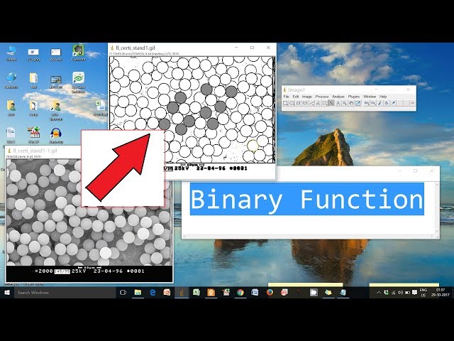 ImageJ Tutorial Area and Threshold