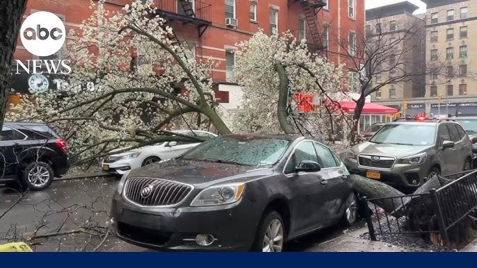 Nor Easter Causes Chaos For Commuters