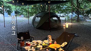 VLOG | 톨리랑 첫 캠핑 브이로그 🐶⛺️ 가평 밤나무숲 캠핑장, 2박 연박 캠핑