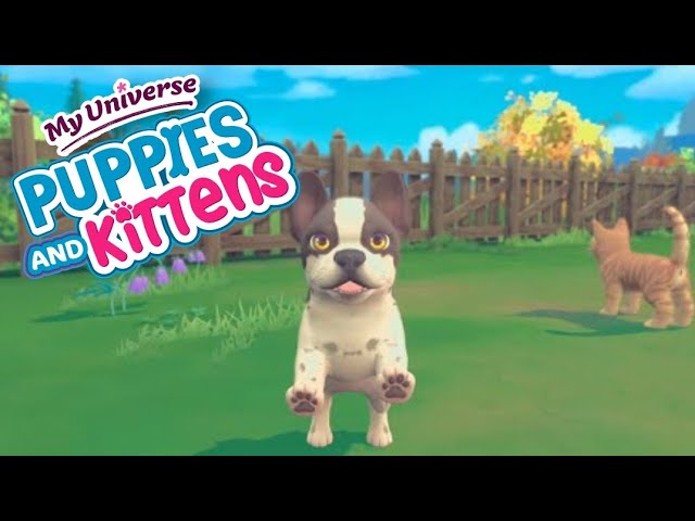 My Universe: Puppies and Kittens, Maximum Games, Nintendo Switch