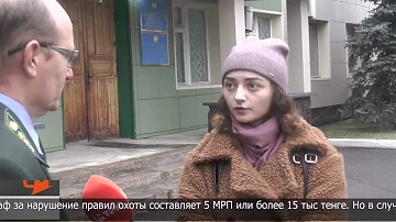 Штраф в размере более 1 млн тенге грозит за незаконную добычу косули