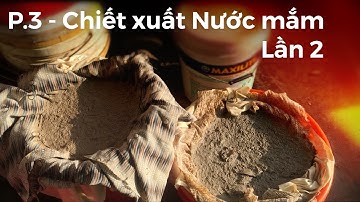 Part 3 - Cách lấy nước mắm lần hai | Nước Mắm Truyền Thôngs