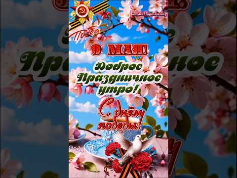 Доброе праздничное утро, друзья! Поздравляю Вас с 9 Мая!🌹🎗🕊#9 #май #пятница #утро #рекомендации