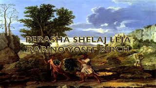 PERASHA SHELAJ LEJA RABINO YOSEF BIRCH.