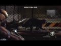 Achievement freigeschaltet: Operation Raccoon City Maskottchen-Fundorte