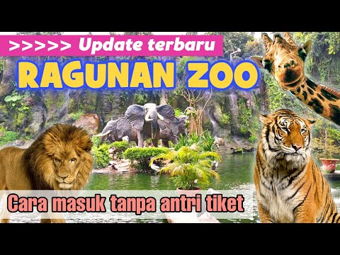 Keliling Taman Margasatwa Ragunan 2022 | Kebun Binatang Terbesar di Jakarta & Termurah di Indonesia