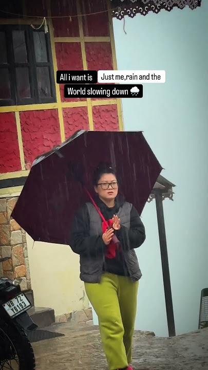 Zuluk weather update 2/5/25 | silk route | Sikkim.