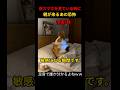 人生で一番敏感になる瞬間ww #shortstory