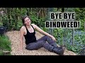 Strawberry patch makeover part 1 removing bindweed and ground elder