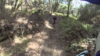 Thrashing Sarah's TTR at Hollister Hills part 2
