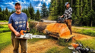 How to-  Convert a Husky Guy to a Stihl Guy 😝