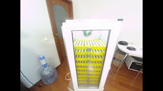 Automatic Egg Incubator at home | Инкубатор своими руками