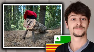 ☃️ La plej stranga tradicio de la mondo [el caga tió]