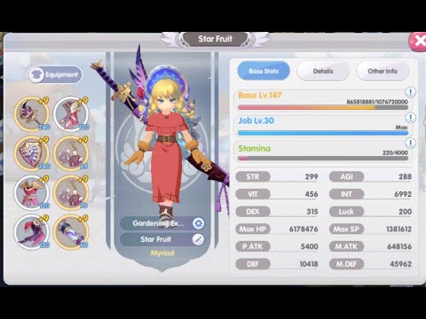 Meister Rox Build ROX - Hyper Novice Build and DPS Before Tomorrow Update - YouTube