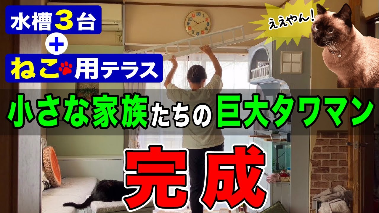 【DIY】【棚】普通の水槽台が乙女に大変身！猫と魚とためのドリーミーなテラスのあるスペシャルな棚が誕生！【リビング大改造計画#6】