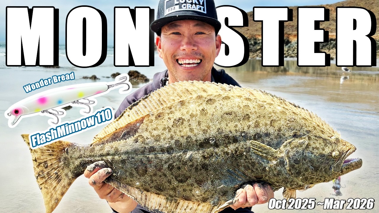 California Surf Fishing】Flashminnow 110 - 2025 October to 2026