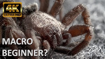 MACRO PHOTOGRAPHY with REVERSED LENS - Cheap metod -  FOCUS STACKING - TUTORIAL for beginners