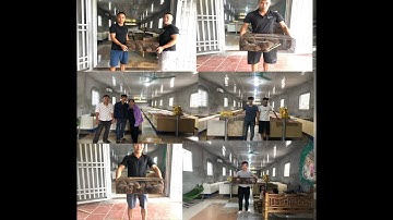 Khách hàng từ nhiều nơi đến đặt mua dúi mốc đại để phát triển lâu dài nghề nuôi dúi | Chuột Tre 360