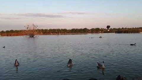 تلاوة جميلة مؤثرة خاشعة .. (مطلوب اسم القارئ)