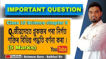 Ch-6 ll Important Question for HSLC exam ll Class 10 science chapter 6 - Life Process