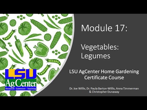 Module 17   Legumes