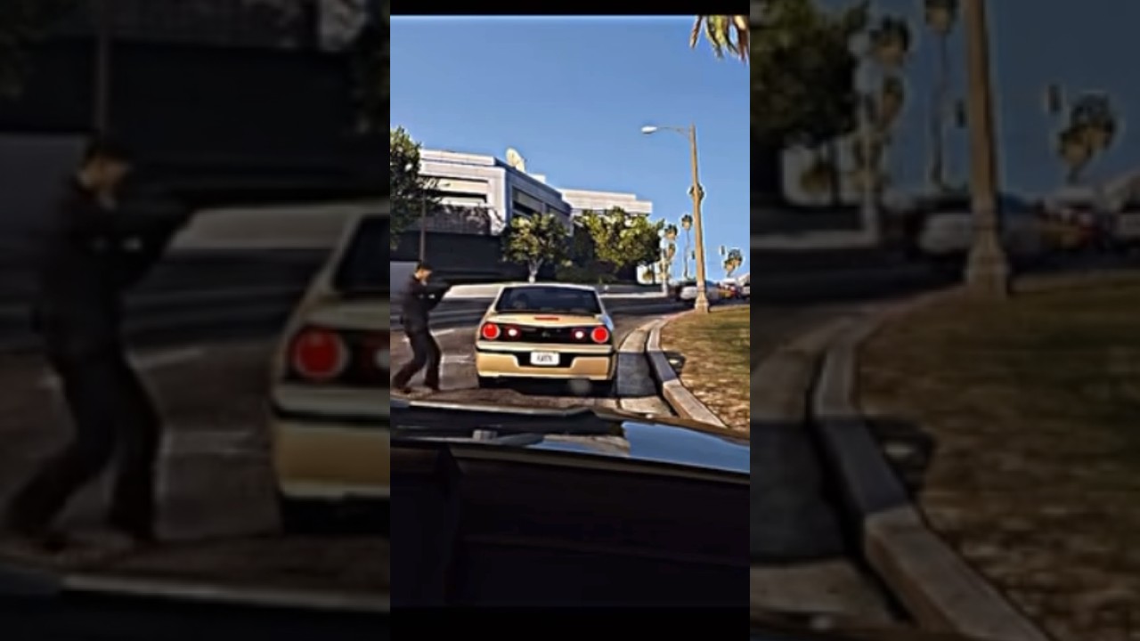 Traffic stop going wrong 