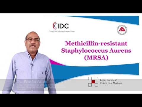 Videó: Meticillin-rezisztens Staphylococcus Aureus Az állatorvosok Számára 2017-ben A Cseh Köztársaságban