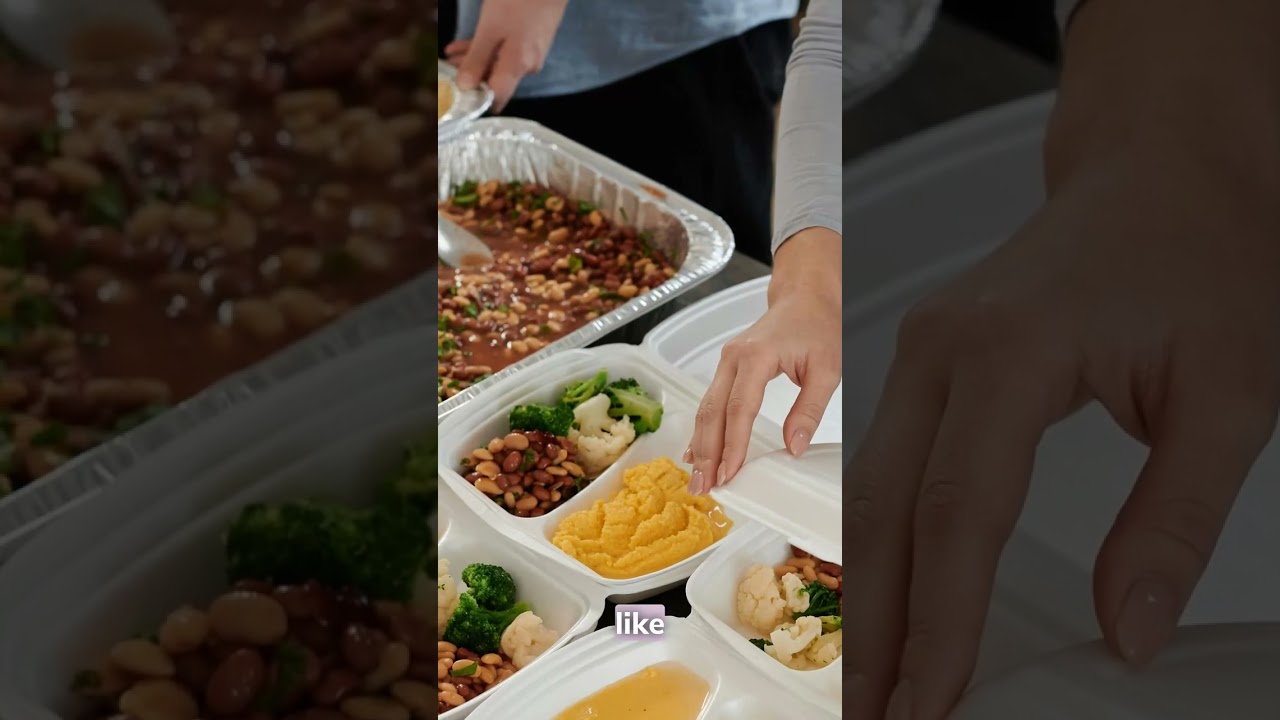 ✨ Decision Fatigue Relief ✨