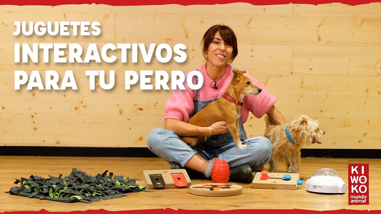Juguetes Interactivos para perros 🐶🧠【 Guía Completa✓】 