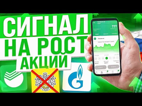 РЫНОК АКЦИЙ ЖДЁТ РЕКОРДНЫЙ РОСТ? КАКИЕ АКЦИИ КУПИТЬ СЕЙЧАС?