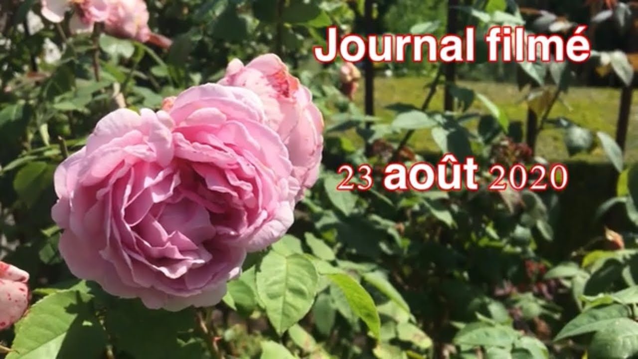 Journal filmé 140 - YouTube