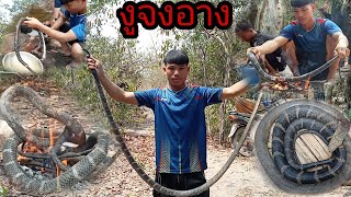 ต้มงูจงอางไข้ตัวใหญ่มากๆ/ຕົ້ມງູຈົງອາງໄຂ່ໂຕໃຫຍ່