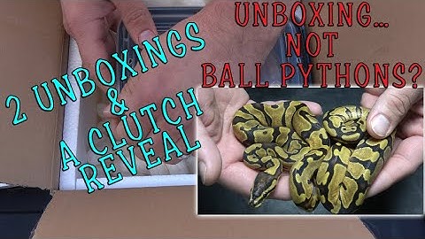 Unboxing & Clutch 2 Reveal