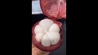 #shorts ||mangosteen healthy fruit / music credit to:audionatics/acoustic guitar 1 ||Chinoys Kitchen