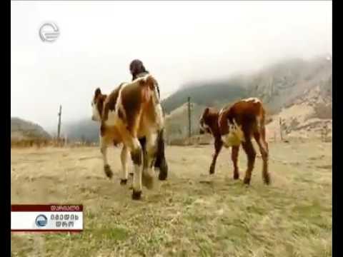 საქართველოს კარიბჭე დარიალის მონასტერი