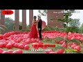 Ae mare humsafar whatsapp status Whatsapp Status Video Download Free